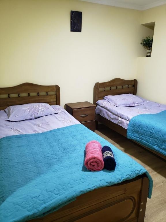 Местиа: Guest House Nanu
