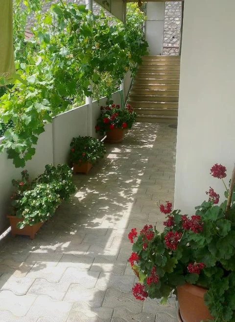 Сигнахи: Abramichi Guest House