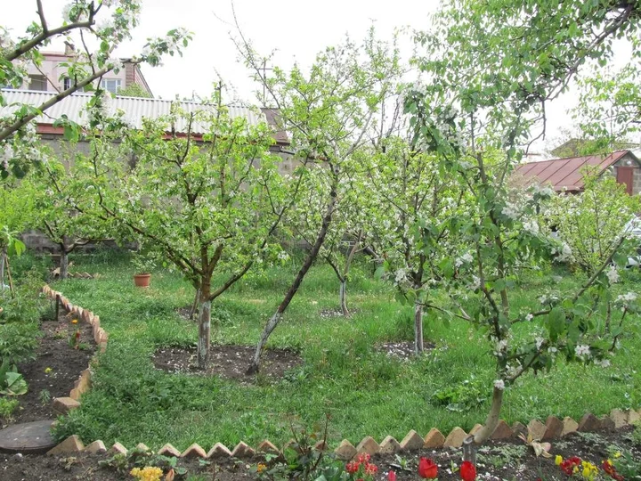 Гюмри: Хостел Artush & Raisa B&B