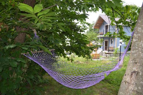 Zaqatala: Cobalt cottage