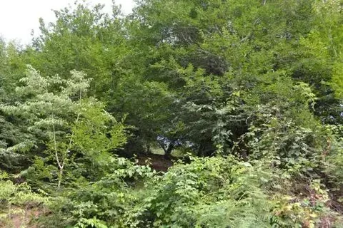 Zaqatala: Cobalt cottage