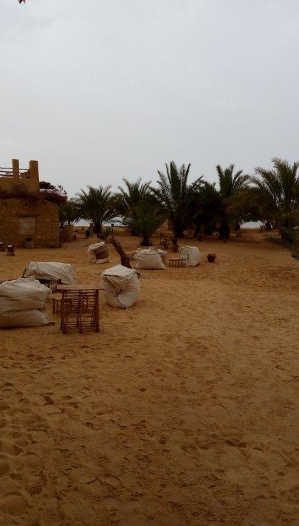 Siwa Relax Retreat - Adults only — фото 3