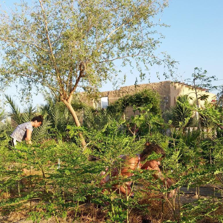 Нувейба: Habiba Organic Farm