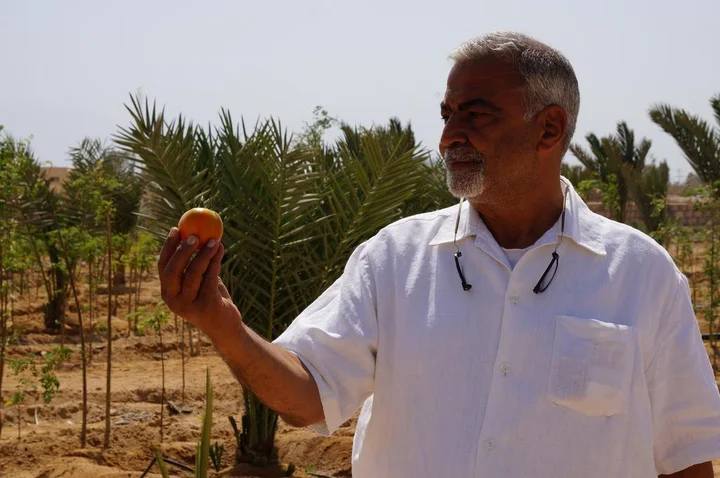 Нувейба: Habiba Organic Farm
