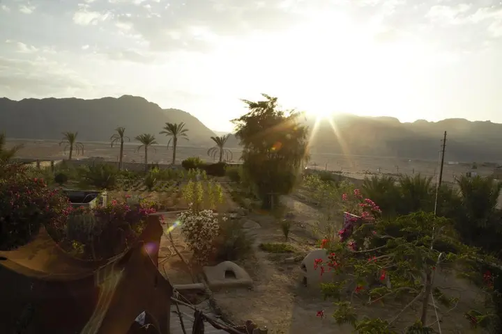 Нувейба: Habiba Organic Farm