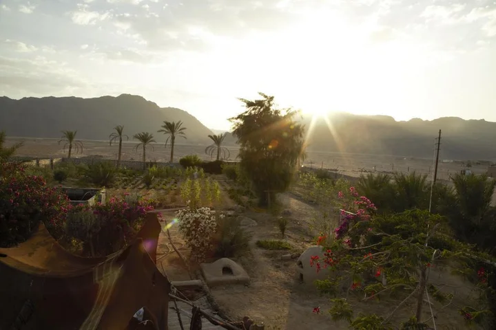 Нувейба: Habiba Organic Farm