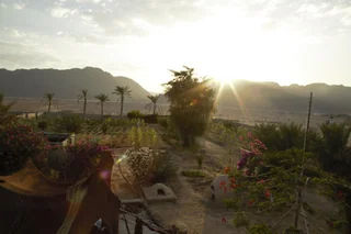Нувейба: Habiba Organic Farm