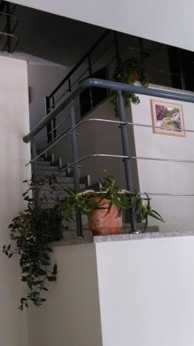Джермук: Centrale Guesthouse