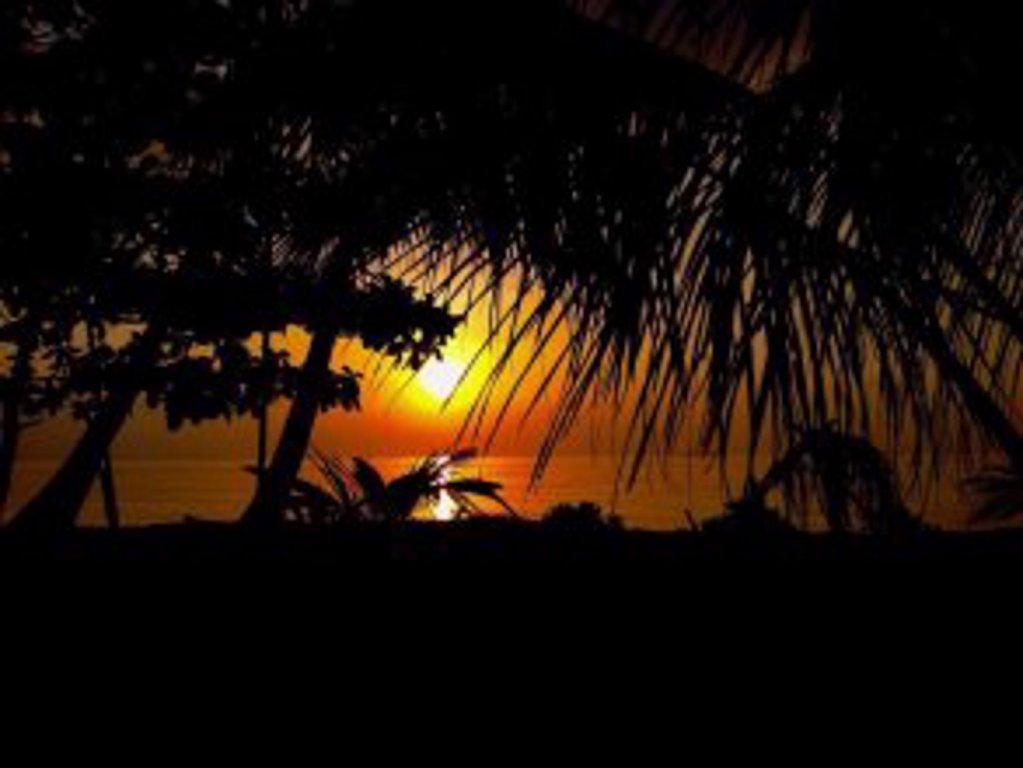 Северный атолл Мале: Local Adventure at Dhiffushi