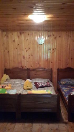 Боржоми: Surami Treehouse