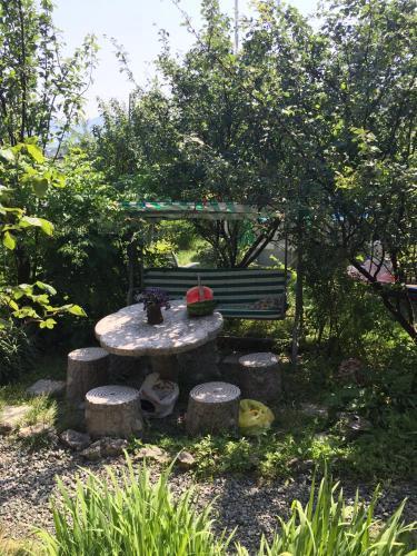 Боржоми: Surami Treehouse