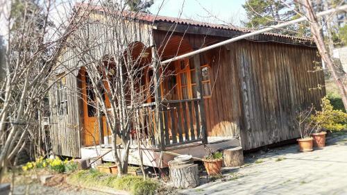 Боржоми: Surami Treehouse