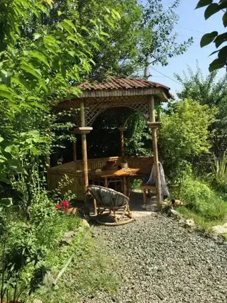 Боржоми: Surami Treehouse