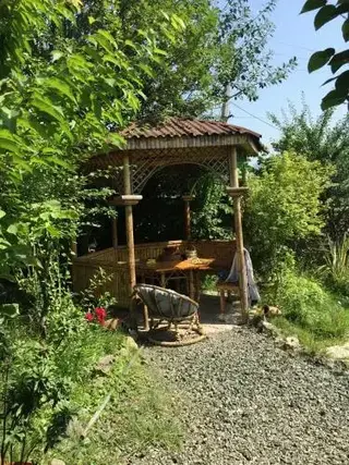 Боржоми: Surami Treehouse