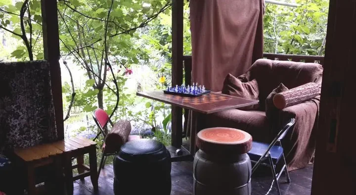 Боржоми: Surami Treehouse