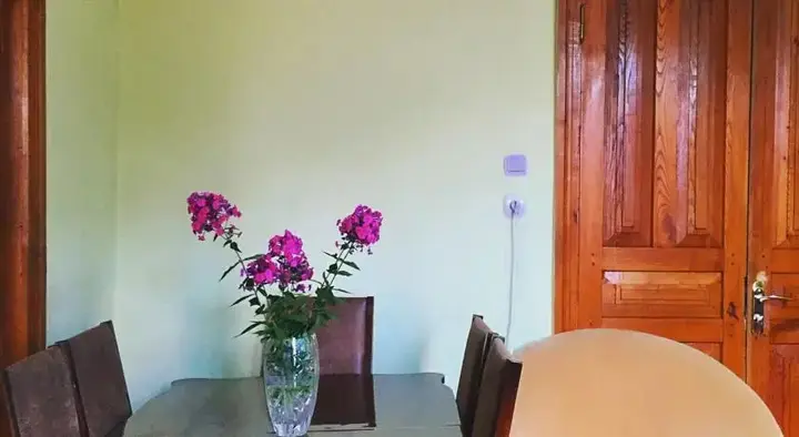 Местиа: Salome Guest House