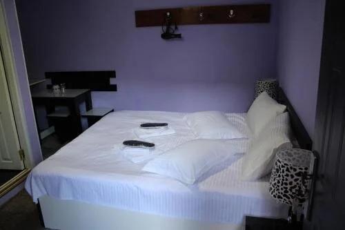 Местиа: Salome Guest House