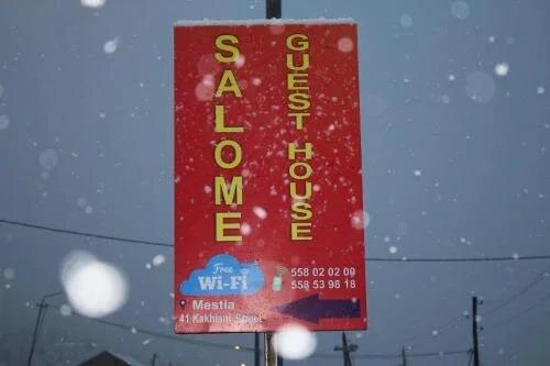 Местиа: Salome Guest House