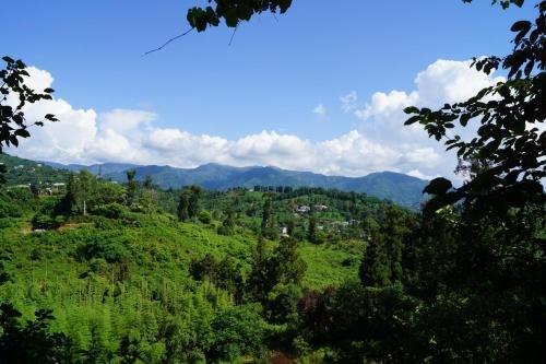 Батуми: Anamaria
