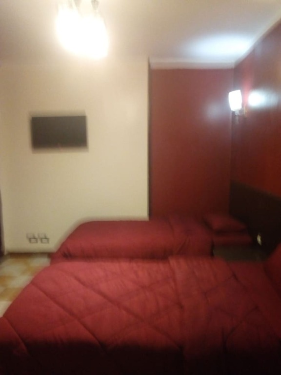 Каир: Oasis Hostel