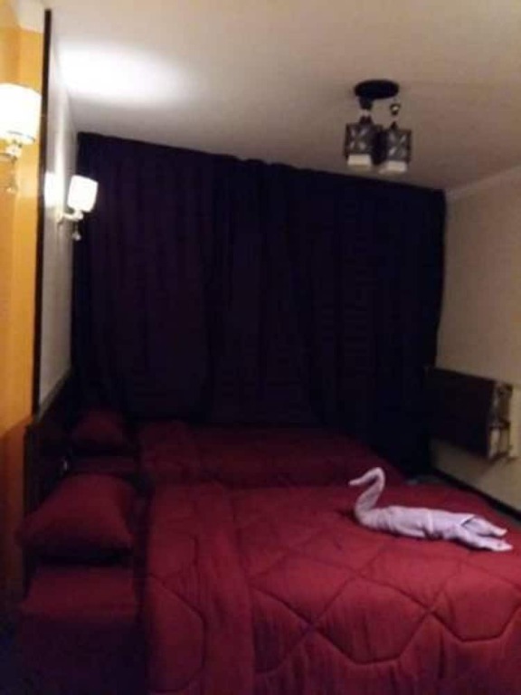 Каир: Oasis Hostel