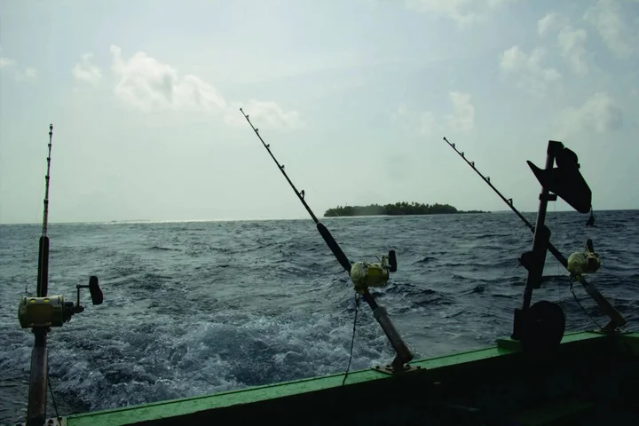 Атолл Баа: Hibaru Fishing Lodge