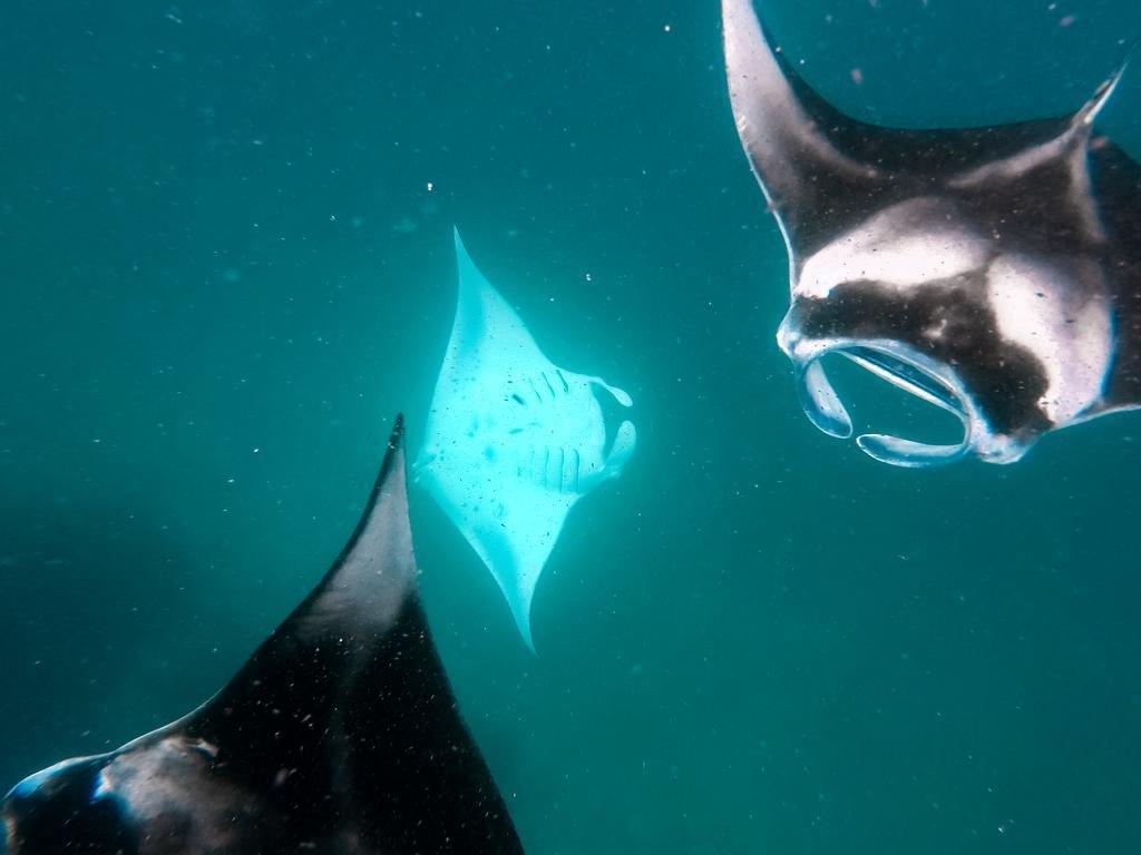 Атолл Алиф-Алиф: Отель Viluveli Beach Maldives