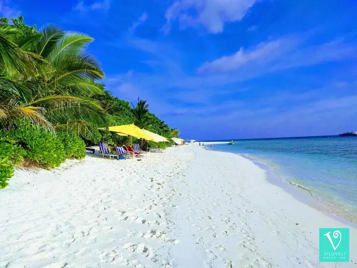 Атолл Алиф-Алиф: Отель Viluveli Beach Maldives