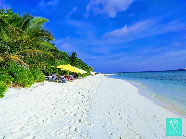 Атолл Алиф-Алиф: Отель Viluveli Beach Maldives