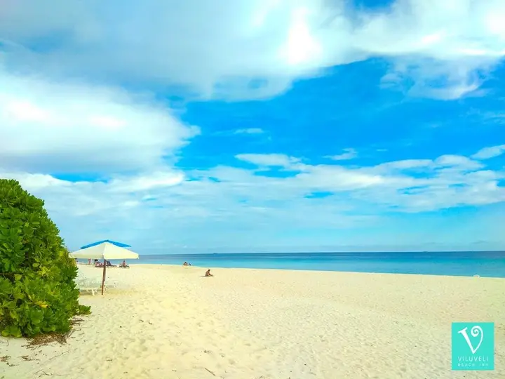 Атолл Алиф-Алиф: Отель Viluveli Beach Maldives