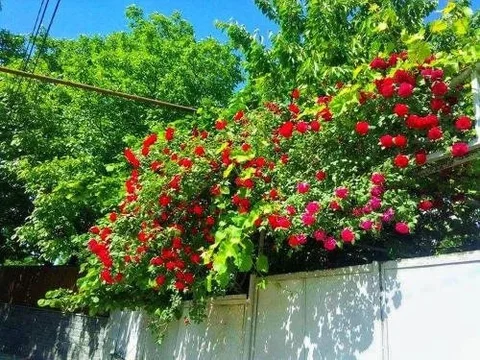 Мцхета: Saguramo Guest House