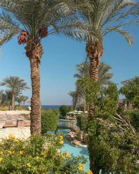 Шарм-эш-Шейх (Шарм-эль-Шейх): The Grand Hotel Sharm el Sheikh - All Inclusive