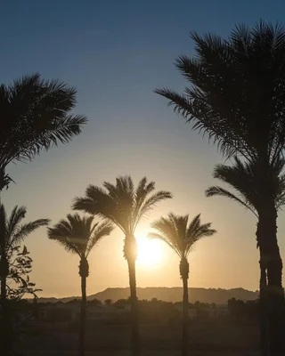 Шарм-эш-Шейх (Шарм-эль-Шейх): The Grand Hotel Sharm el Sheikh - All Inclusive