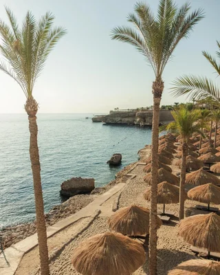 Шарм-эш-Шейх (Шарм-эль-Шейх): The Grand Hotel Sharm el Sheikh - All Inclusive