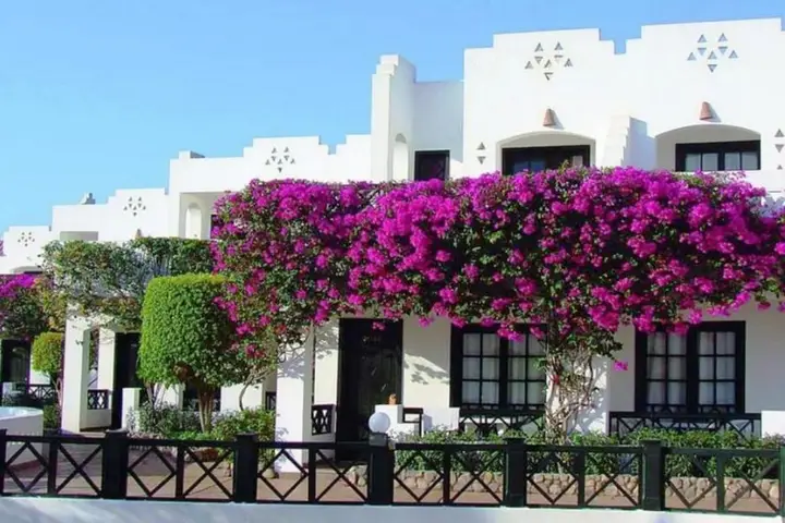 Verginia Sharm Resort & Aqua Park — фото 1