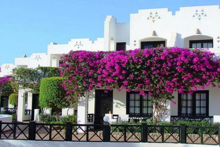 Шарм-эш-Шейх (Шарм-эль-Шейх): Verginia Sharm Resort & Aqua Park