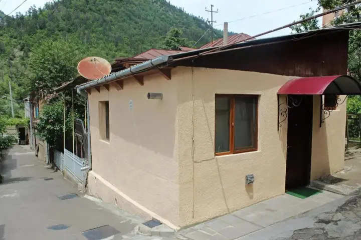 Боржоми: Guest House Erekle 6