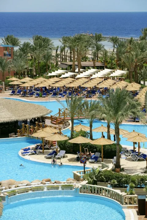 Шарм-эш-Шейх (Шарм-эль-Шейх): TUI Magic Life Sharm El Shiekh