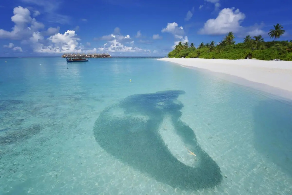 Атолл Алиф-Дхаалу: Angaga Island Resort & Spa