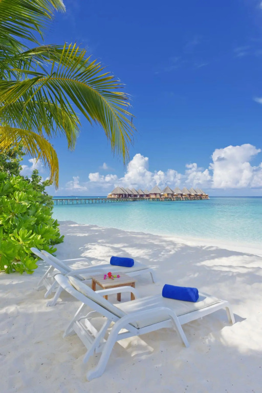 Атолл Алиф-Дхаалу: Angaga Island Resort & Spa