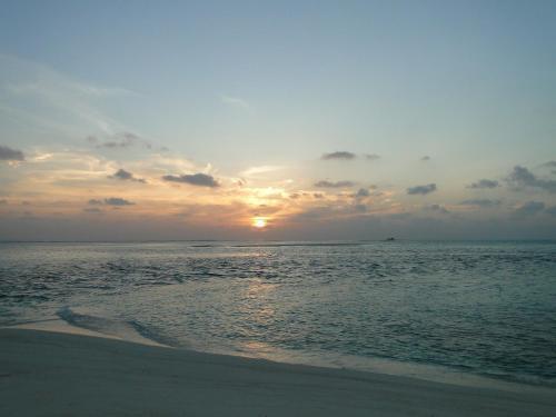 Атолл Алиф-Дхаалу: Maaz Inn Fenfushi