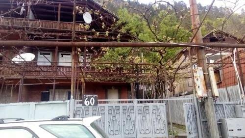 Боржоми: Guest House khatuna