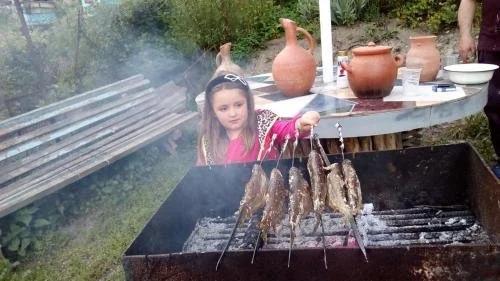 Боржоми: Guest House khatuna