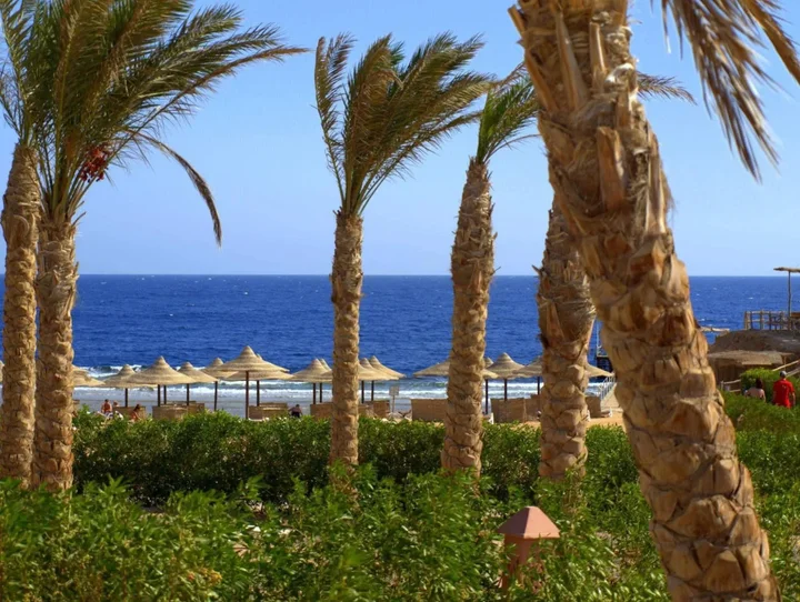 Хургада: Viva Blue Resort and Diving Sharm El Naga