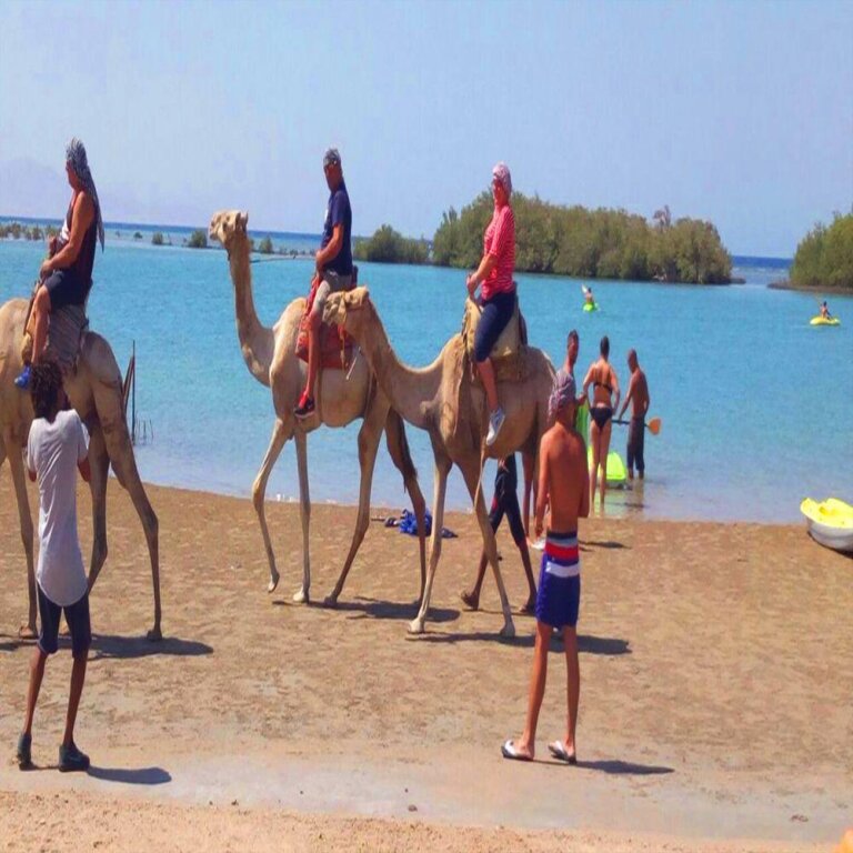 Шарм-эш-Шейх (Шарм-эль-Шейх): Nabq Camp