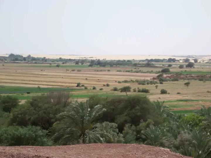 Дахла: Shanda Lodge Desert Resort