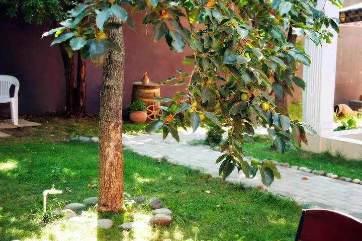 Тбилиси: Отель Tbilisi Garden