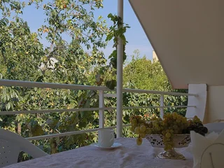 Тбилиси: Отель Tbilisi Garden