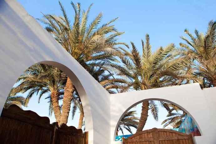 Sunrise Dahab Camp — фото 3