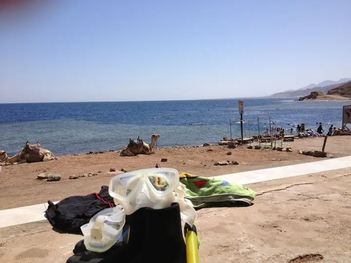 Дахаб: Inmo Divers home